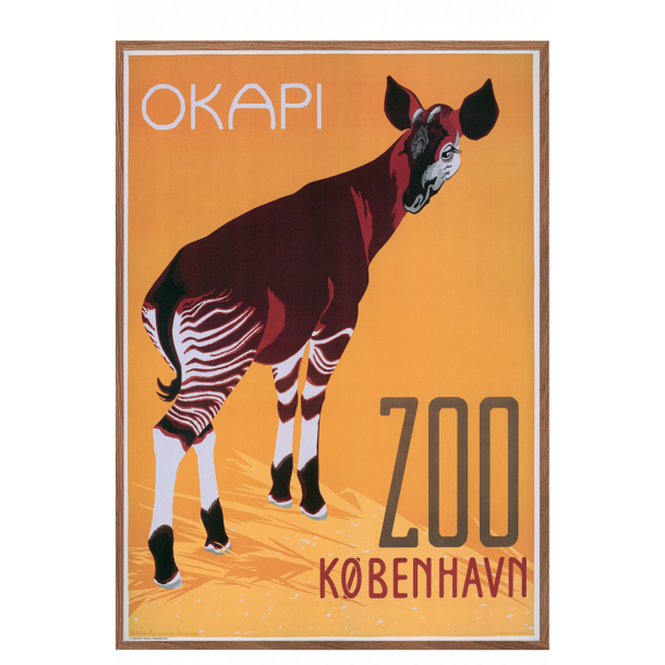 Z 22. - Zoo, Okapi 