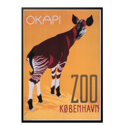 Z 22. - Zoo, Okapi 