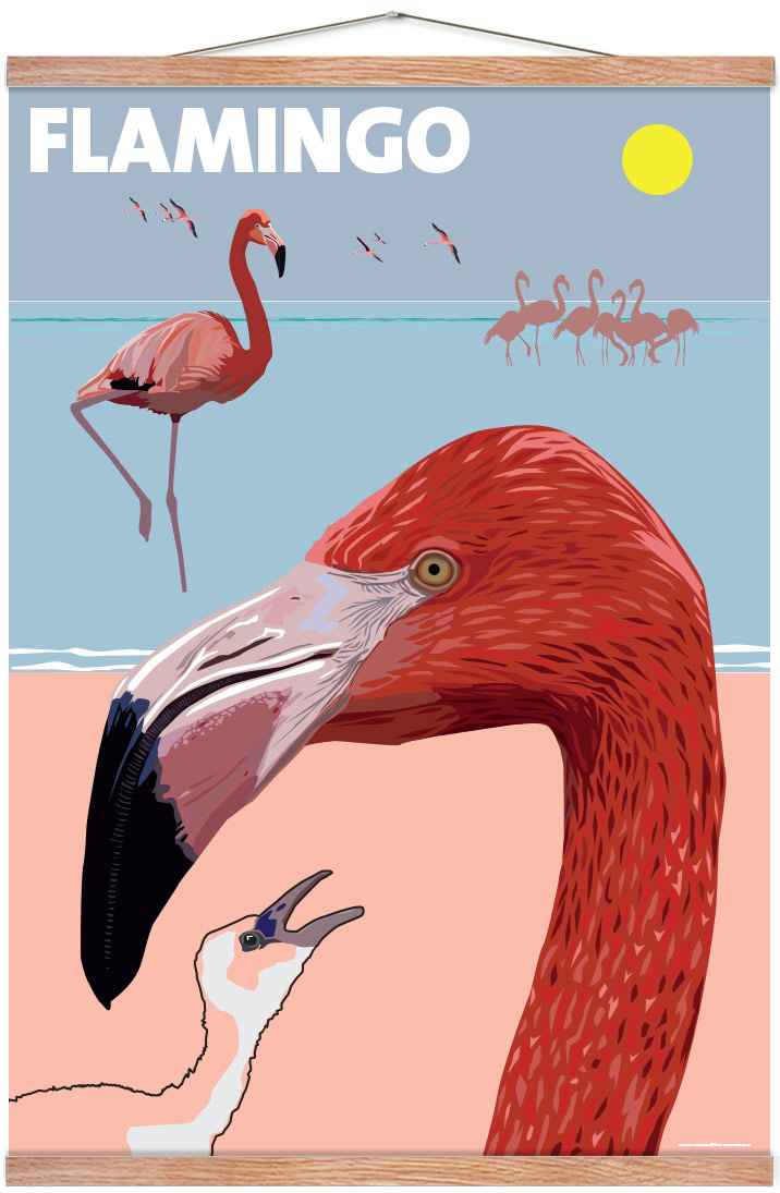 Flamingo - Posters for kids - Permild &